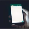 Cara Membuka Kunci WhatsApp yang Terkunci, via Unsplash-Christian Wiediger