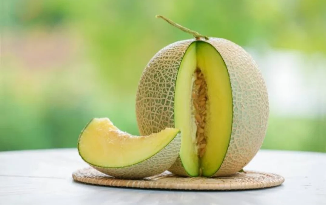 Tips Memilih Melon yang Matang dan Segar