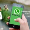 Cara Download Stiker WhatsApp Lucu Gratis Tanpa Aplikasi! dan Memakai Aplikasi