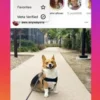 Instagram Sedang Menguji Coba Fitur Feed Khusus Untuk Pemilik Centang Biru