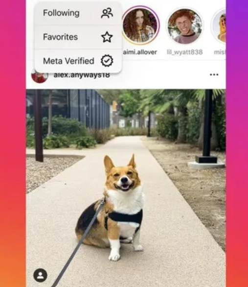 Instagram Sedang Menguji Coba Fitur Feed Khusus Untuk Pemilik Centang Biru