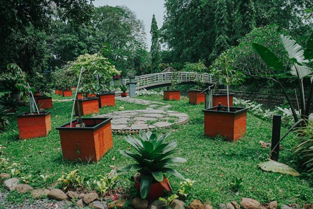 Kebun Raya Bogor Destinasi yang Wajib Untuk di Kunjungi