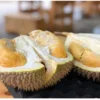 Agar Pohon Durian Tidak Tinggi, foto via Unsplash-Jim Teo