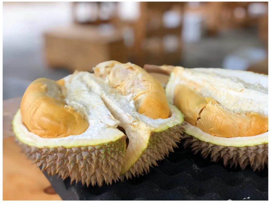 Agar Pohon Durian Tidak Tinggi, foto via Unsplash-Jim Teo