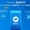 Cara Tarik Uang Tunai DANA di Brilink/foto SC via/flip