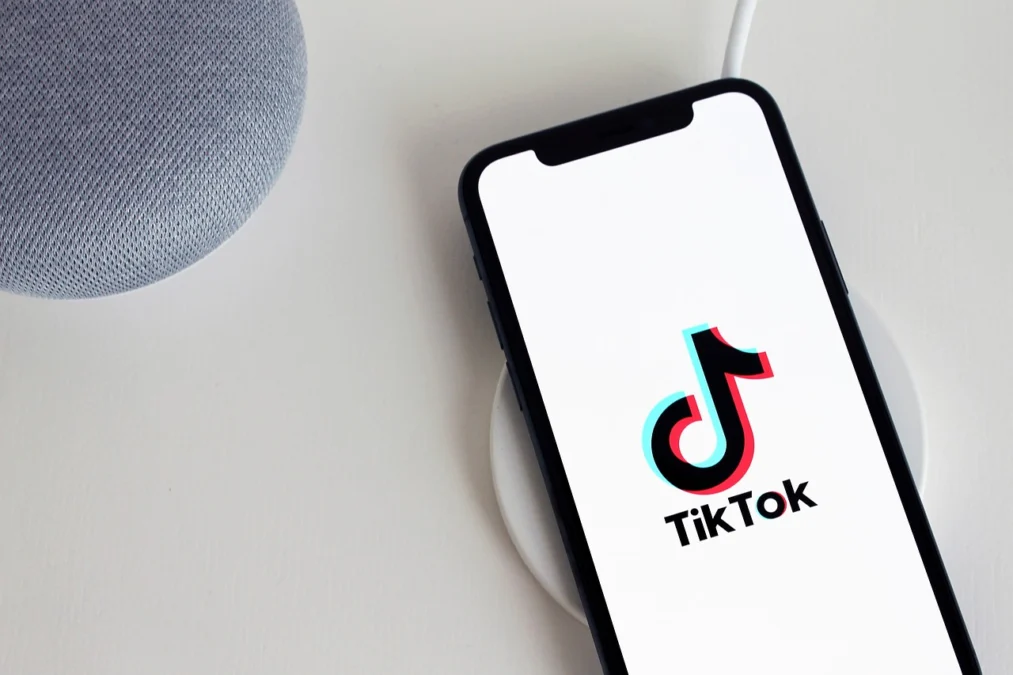 Jadwal Algoritma FYP TikTok 2024/foto via/Pixbay/antonbe