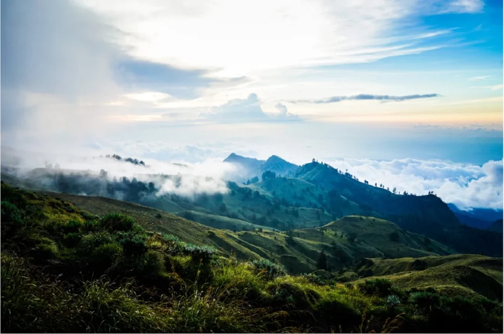 10 Tempat Wisata di Lembang Bandung untuk Keluarga, via Unsplash-Aaron Thomas