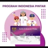 Cara Cek Penerima PIP 2024, Capture via itjen.kemdikbud.go.id