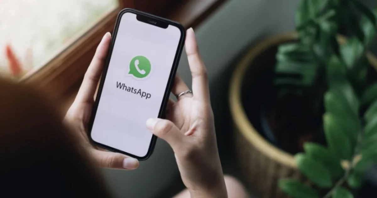 WhatsApp dalam Proses Pengembangan Fitur Berbagi File untuk Pengguna Lokal