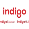 Program Indigo