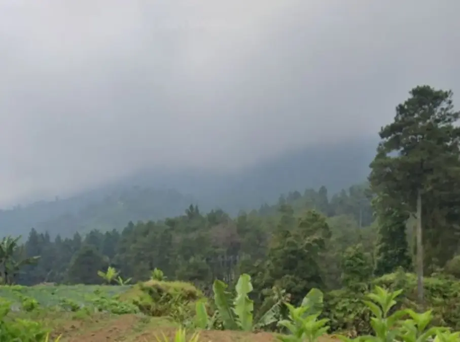 BMKG Peringatkan Rob dan Cuaca Ekstrem