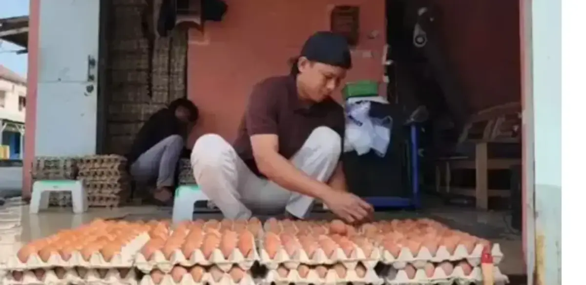 Harga Telur Ayam di Pamanukan Subang Naik