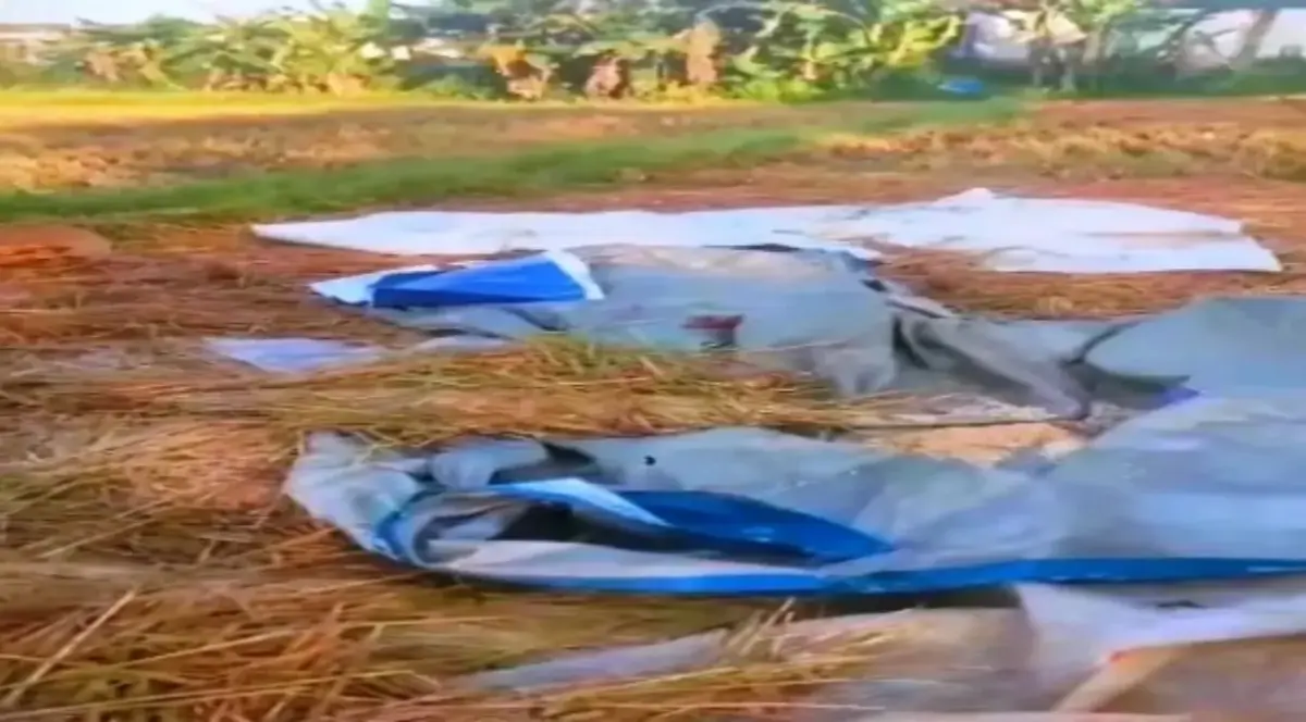 Padi Hasil Panen Petani di Kampung Babakan Cianjur, Raib Digondol Maling