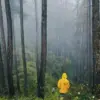 Gunung Canggah: Menikmati Pesona Alam Subang dari Ketinggian yang Menawan