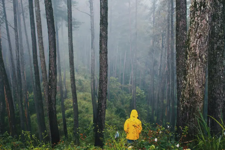 Gunung Canggah Menikmati Pesona Alam Subang dari Ketinggian yang Menawan Gunung Canggah: Menikmati Pesona Alam Subang dari Ketinggian yang Menawan