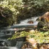 Pesona Unik Curug Nangsi Keindahan Air Terjun dan Pemandian Air Hangat Alami
