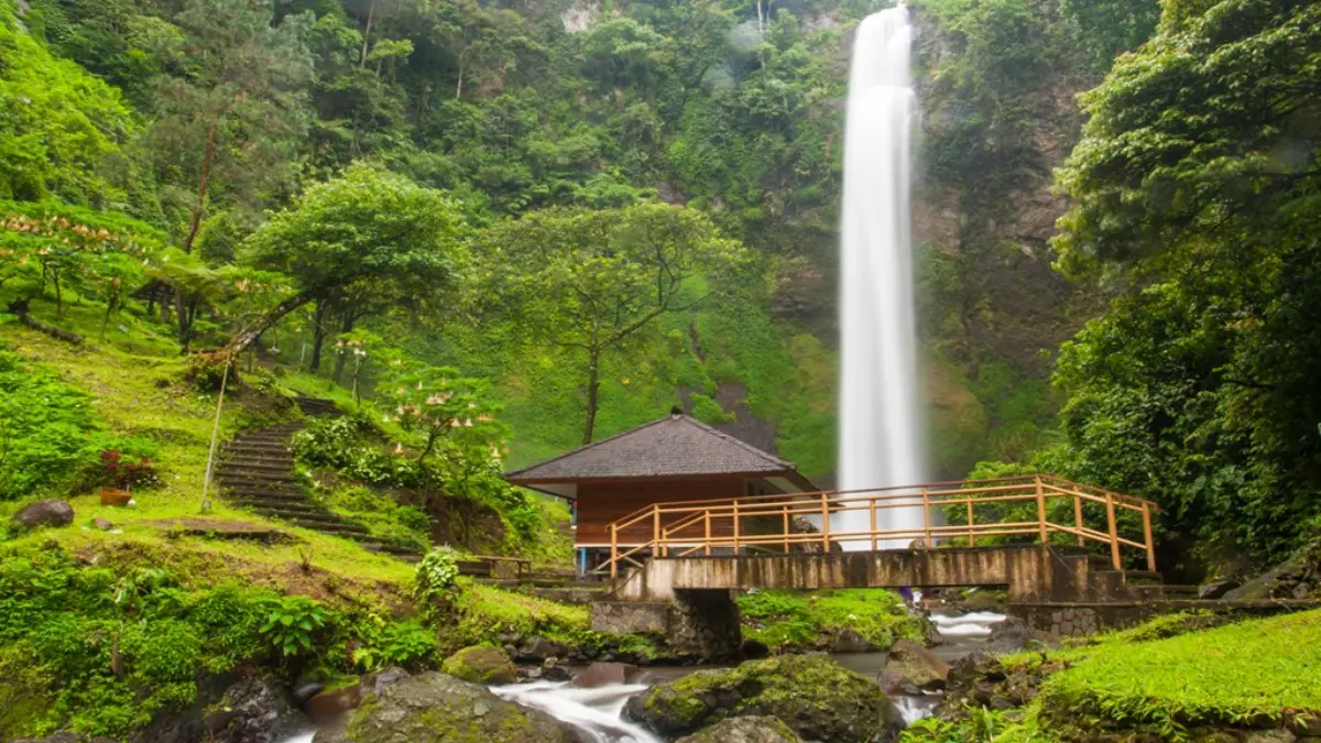 Wisata Curug Pelangi: Keindahan Air Terjun di Jawa Barat Wisata Curug Pelangi: Keindahan Air Terjun di Jawa Barat