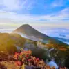 Gunung Gede Pangrango