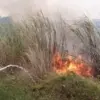 Waspada! Ini Kawasan Rawan Kebakaran di Subang Saat Musim Kemarau, Warga Diminta Lebih Hati-hati