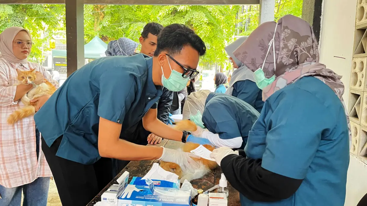 Diskanak Pastikan Nihil Kasus Rabies di Purwakarta Diskanak Pastikan Nihil Kasus Rabies di Purwakarta